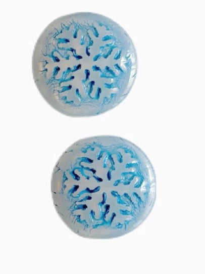 Czech 21x21mm Snowflake Convex Round AB Beads with Opal Finish for DIY Bracelets, Necklaces, Earrings & Jewelry